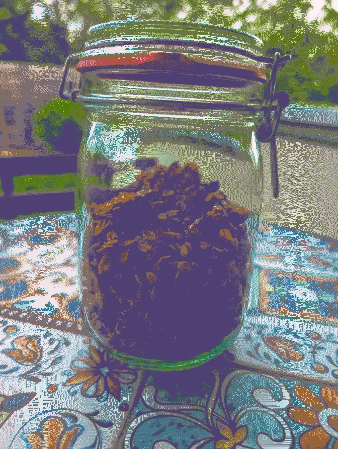 
              A glass jar with a red rubber ring, around half full with homemade granola
            
